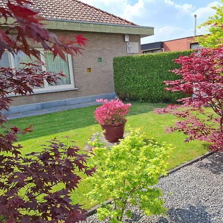 B&B Sogni D'Oro Lovendegem Ngoại thất bức ảnh